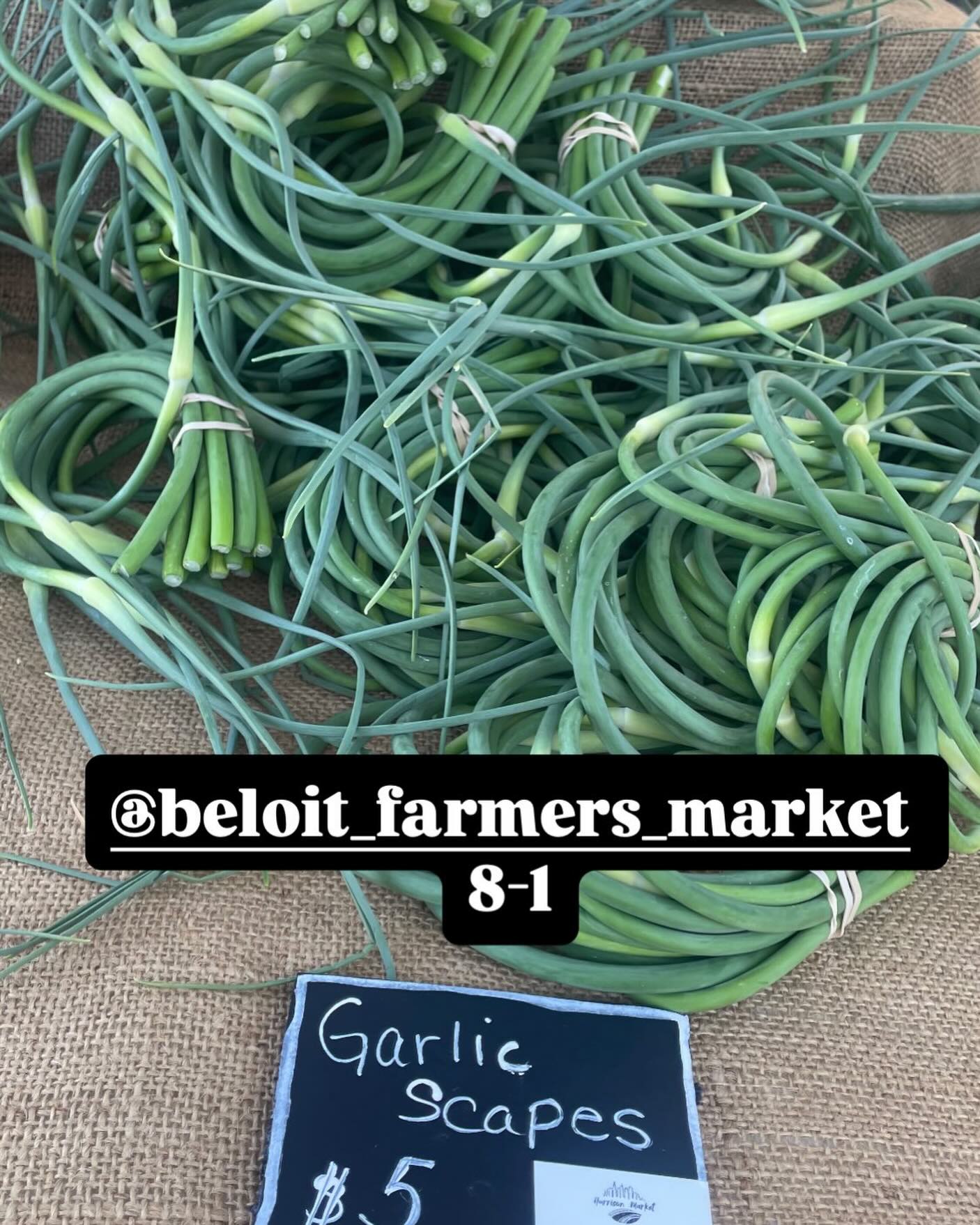 Last of the asparagus! Fresh garlic scapes! Perfect day for @beloit_farmers_market
#beloit #beloitfarmersmarket #family #farm