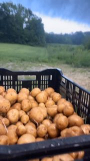 Long day with wet feet, but found some pretty colors. #tuesday #foodie #farm #goodday