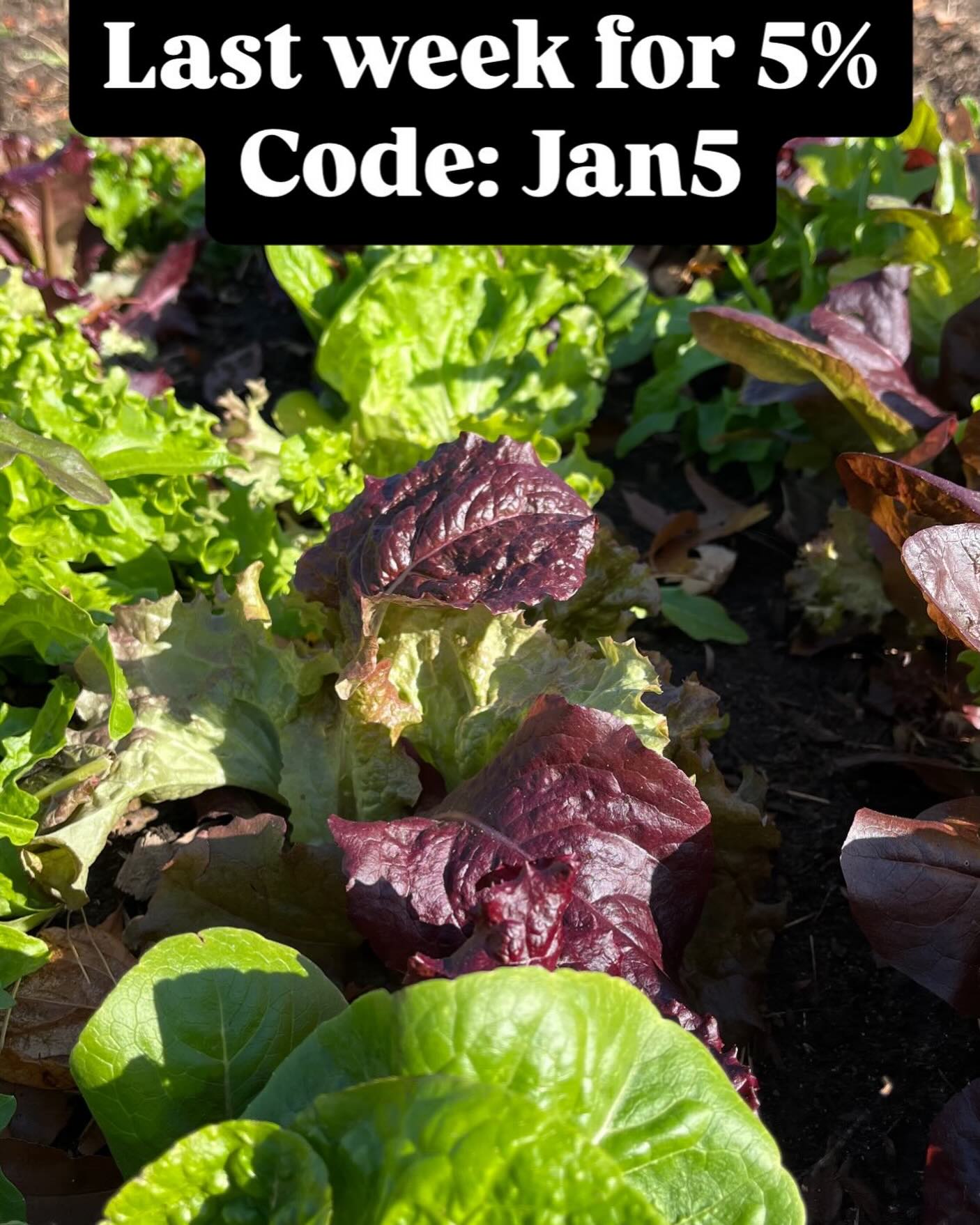 Last week for our discount. Customizable shares. 3 payments. Discount applies to the fall bonus boxes as well. Please share so we can get this out to as many as possible. Northern Illinois to Chicago.
#january #food #farm #communitysupportedagriculture