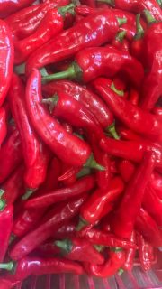 1st batch of Cayenne pepper coming up! These are Red Ember peppers. They’re pretty hot as is. I eat alot of cayenne on eggs. Test run with weights to see what fresh comes out to dry and powdered.
#sunday #sundayfunday #cayenne #foodie