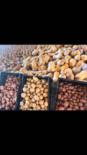 You can get year old potatoes at Walmart or you can get day old organic red and gold potatoes from Jules tomorrow @beloit_farmers_market
Pigs sold separately.
Great day!
#friday #fall #love #foodie