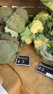 Its a perfect morning! @beloit_farmers_market 
Jules has 3 recipe bags today.
Zuppa Toscana
Melted Cabbage
Beet and Butternut Salad

Potatoes dug and washed yesterday!
Plus all the fun fall produce.
Some cauliflower and broccoli, bunches of broccolini. Lots of winter squash. Bunches of greens, radishes, carrots. Come say Hi! 2nd to last one!
 
#farmersmarket
#beloit
#wisconsin
#organic